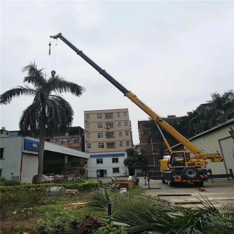 临邑汽车吊出租多少钱？全面解析与市场行情